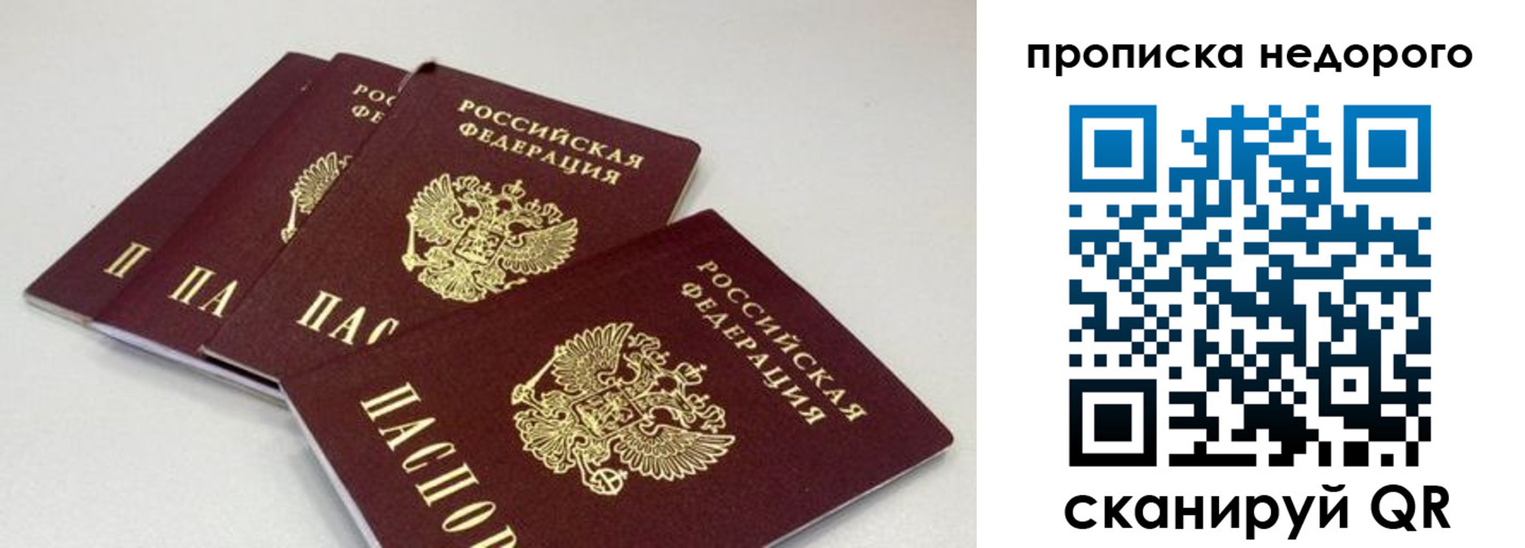 прописка штамп в Звенигово